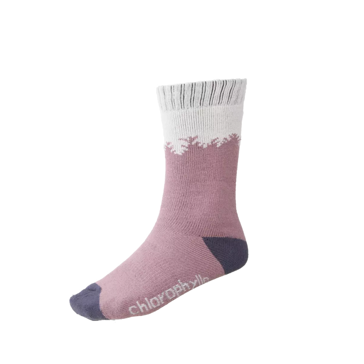 Chaussettes Forêt 4 Chaussettes Forêt - Image 2